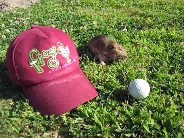 suuuper sketchy video this one <br /><br />filmed + edited by Craig and Diego Meek.<br /><br />summer2019 products available here - !<br /><br />www.frogskateboards.com