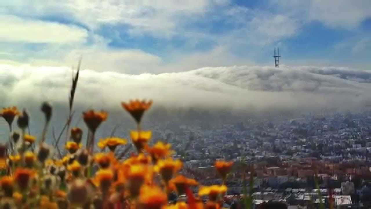 Beautiful photos of San Francisco by Pauly Harper for FTC. 2014<br />T shirt available soon <br />www.shop.ftcsf.com