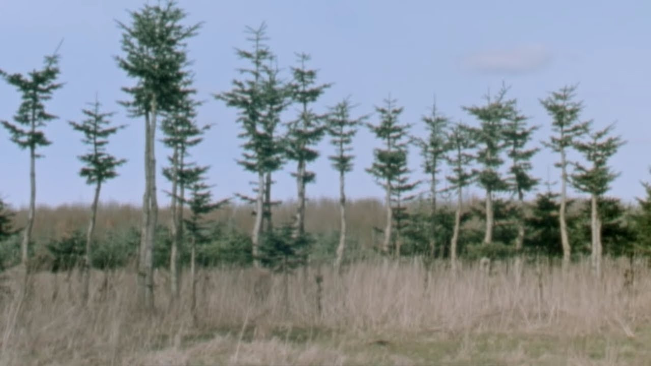 Featuring:<br />Nick Boserio <br />Emile Laurent <br />David Stenström <br />Oskar Rozenberg <br />Aaron Herrington <br />Andrew Wilson <br />Shin Sanbongi <br />Hjalte Halberg <br />Paul Grund <br />Roman Gonzalez <br />Dane Brady<br /><br />Guest Skaters:<br />Ville Wester<br />Pontus Alv<br />Jonas Skrøder<br />Peter Stege<br />Nick Rios<br /><br />A Film composed by Pontus Alv<br /><br />Filmed by Tor Ström<br /><br />Main Filmers:<br />Ben Chadourne<br />Waylon Bone<br />Johnny Wilson<br />Pontus Alv<br />Dane Brady<br /><br />Additional Filmers:<br />Geoff Campbell<br />James Cruickshank<br />Uruma Masaonori<br />William Strobeck<br />Sean Dahlberg<br />Seamus Foster<br />Brendan Roura<br />Nick Boserio<br />Nick Rios<br />Jesse Alba<br />Chris Milic<br />Papo<br /><br />Motion Graphics by Fabian Fuchs<br /><br />Color Grading by Nanna Dalunde<br /><br />Sound mixing by Jean-Louis Huhta<br /><br />Artists/Record Labels - Please feel free to contact us for compensation: info@polarskateco.com<br /><br />polarskateco.com