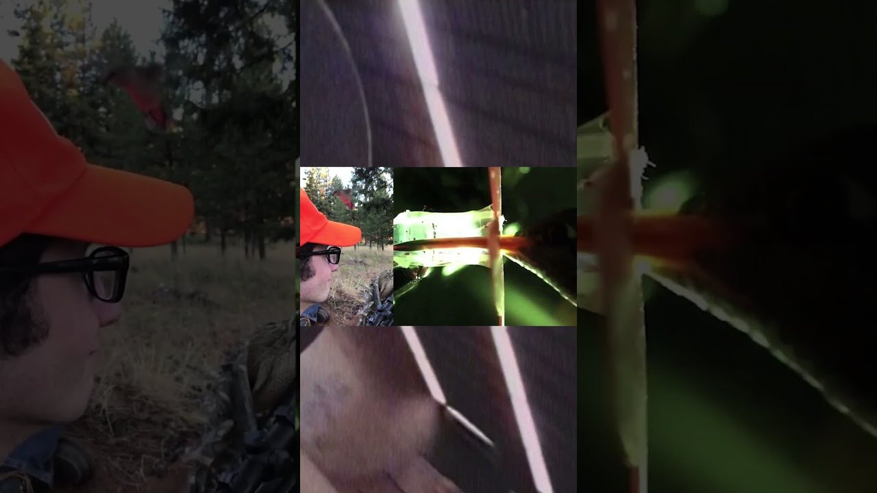 A little edit for our Tantalus shop deck from June 2019.