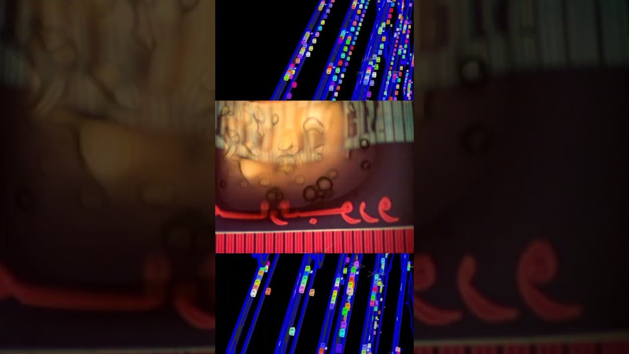 We used to do little Instagram edits titled BRB LOL BTL when videos were capped at 15 seconds a decade or so ago. This is Terry's from April 15th 2015.