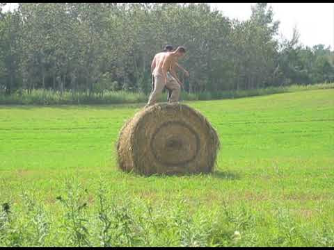 We were told about an abandoned pool in a farmers field. None of us could skate a pool to save our lives but it did sound like a nice place to spend an afternoon by in the middle of Summer!