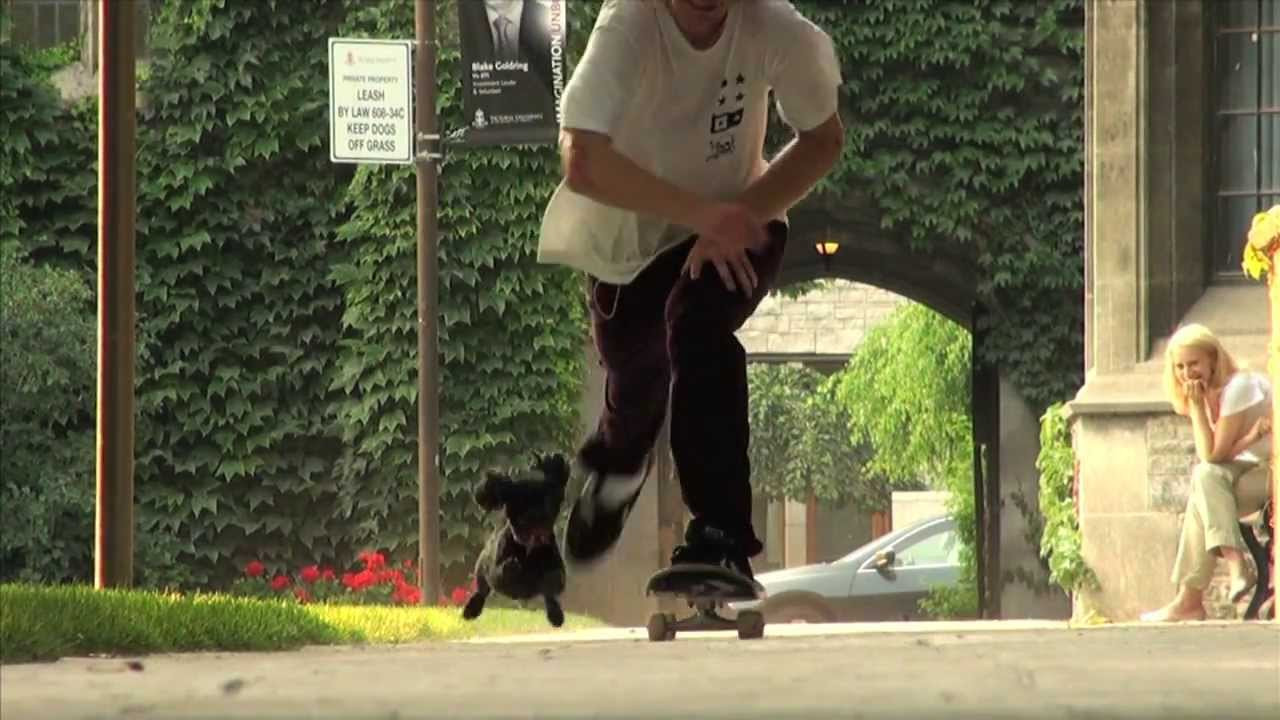 Nugget's Part from the 4th Blue Tile Lounge Shop Video that came packaged with Buyer Beware. A Fist Full of Loonies is the second part of the video that is all 16:9 HD.