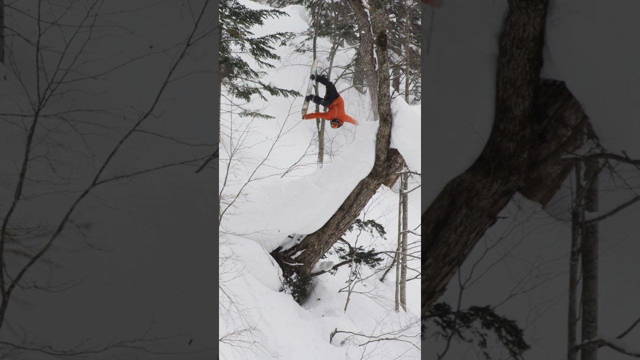 Enjoy the videos and music you love, upload original content, and share it all with friends, family, and the world on YouTube.