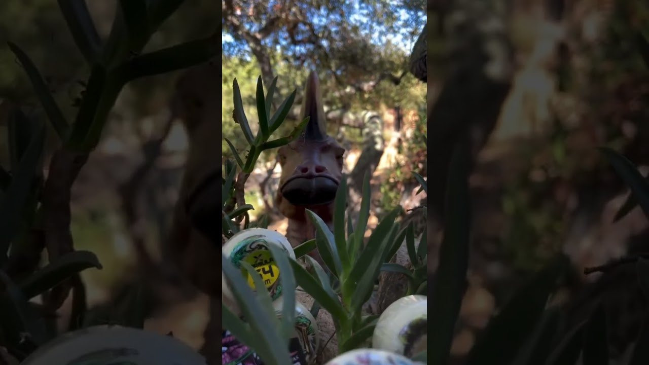 We're just having fun over here. New BONES WHEELS Dino-Sorta Team Series in X-Formula. Available now at your local skate shop or online.<br /><br />https://bones.com/skateboard-wheels/x-formula