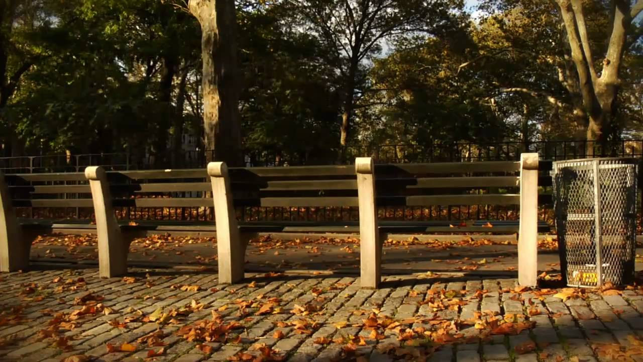 Stereo proudly welcomes Jack Sabback to the team.