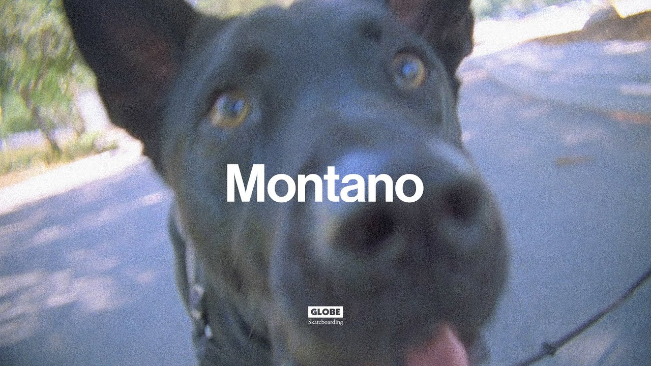 Introducing the first rider colorway of the Melbek for Sammy Montano in Black Suede/Cotton Twill. Featuring custom art on the tongue and footbed of Sammy’s dog ‘Domino’. Sammy was drawn to the Melbek for its exceptional skate function and board feel.<br /><br />Shop Now:<br />www.globebrand.com