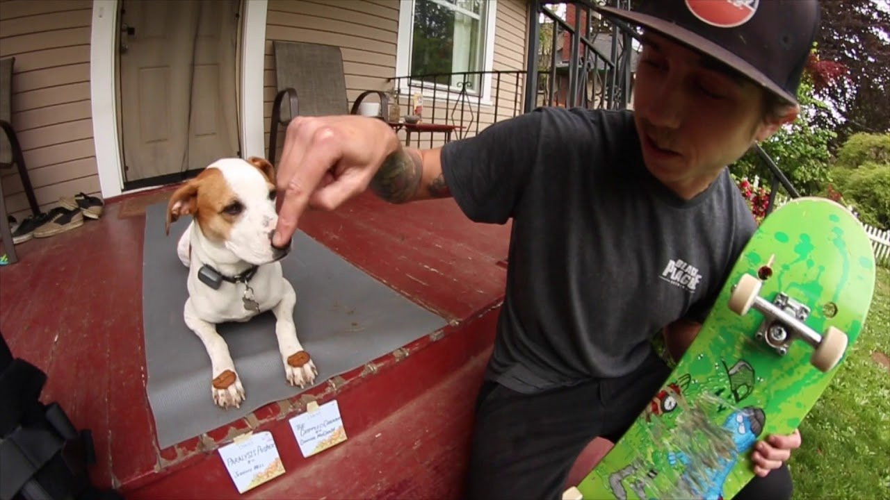 We left it up to Gravette's pup Issy to choose the winner of this Kevs Kreation. The new name for the "Handi-Capable Skate-A-Scoot" is now the "Paralysis Pusher" courtesy of Jeremy Bell. Congratulation to Jeremy! You won the Gravette's Kreation! Thanks to everyone that tuned into this episode of Kev's Kreations and to all those that commented! Stay tuned on the CCS YouTube channel for more from Kev, the CCS Team, and crew! :)<br /><br />SUBSCRIBE to CCS YouTube: http://tinyurl.com/lmje4o6<br />Like CCS on FACEBOOK: https://www.facebook.com/ccs.skate<br />Follow CCS on INSTAGRAM: https://instagram.com/ccs_skate/<br />Follow CCS on TWITTER: http://twitter.com/CCS_skate<br />Check the WEBSITE: http://ccs.com/<br />Don't Forget SNAPCHAT : CCSskate