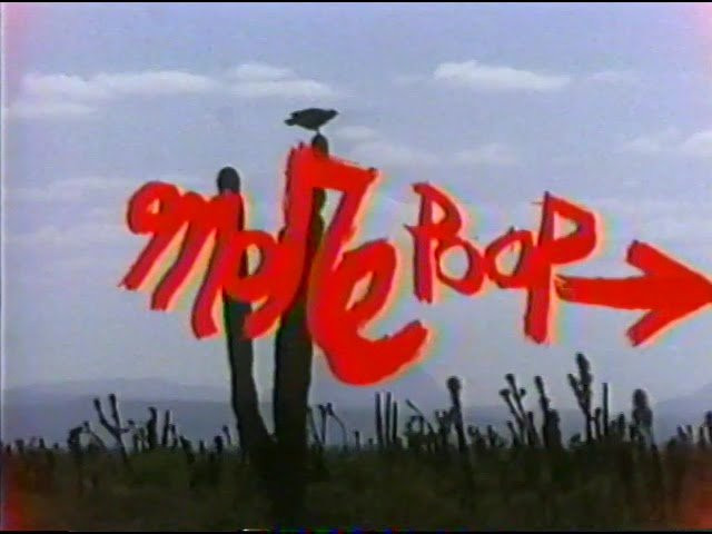 A film by Thomas Campbell with the soundtrack by Tommy Guerrero. Made in 2000. I do not own the rights to this video or the music contained within it. The proceeds from any ads you may see go straight to the original copyright owners and not to me.