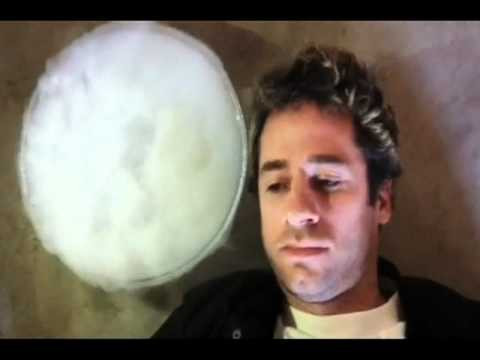 It is called the Daily Randoms.