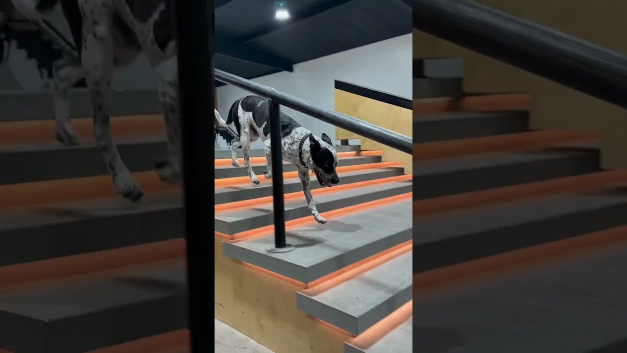 Rainy Day in LA with Shiloh Catori at @Prod84skate park. 🎥 @Listen0