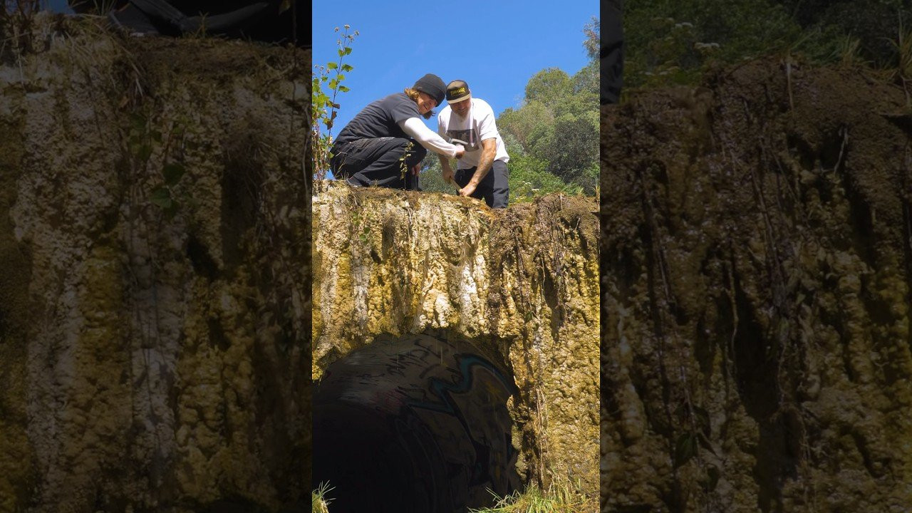 Enjoy the videos and music you love, upload original content, and share it all with friends, family, and the world on YouTube.