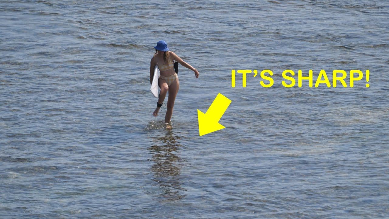 There were huge tides at Uluwatu a couple of days ago, and a few people got caught out with a long and painful walk back to the cave. On the flip side the waves started to pump at Racetracks, with a ton of barrels ridden before the sun went down.<br /><br />We're excited to be partnering with www.surf-forecast.com - the best free forecasting website out there. Please check out their site for over 7,000 surf locations and free 12 days forecasts.<br /><br />If you like the content, please subscribe to the channel here: http://bit.ly/2NPrV5H<br />_____________________________<br /><br />OUR AMAZON STORE: https://www.amazon.com/shop/globalzoo-surfingvideos?ref=ac_inf_tb_vh <br /><br />GEAR WE USE FROM AMAZON: <br /><br />Our camera: https://amzn.to/3XHjiMe <br />Our drone: https://amzn.to/3HauKJg <br />Our main lens: https://amzn.to/3Jo9qCU <br />Our other lens: https://amzn.to/3Ji9XWW <br />Our main tripod: https://amzn.to/3Y6yUZG <br />Our second tripod: https://amzn.to/3Hh9EsJ <br />Our second tripod head: https://amzn.to/3WPpsbQ <br />Our camera bag: https://amzn.to/3HdvTzH <br />The laptop we edit on: https://amzn.to/3Hdwb9L <br />Our external hard drive: https://amzn.to/3Y2lJc0 <br /><br />_____________________________<br /><br />Social media accounts:<br />Instagram: https://www.instagram.com/global.zoo.co/?hl=en<br />Facebook: https://www.facebook.com/Global.Zoo.Co<br /><br />_____________________________<br /><br />DISCLAIMER <br />Some of the links above are affiliate links, where I earn a small commission if you click on the link and purchase an item. You are not obligated to do so, but it does help fund these videos in hopes of bringing value to you! <br /><br />#Surfing #Surf #Indonesia #Bali #GlobalZoo #SurfForecast