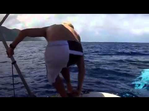 Mick goes swimming with whales in Tahiti with Taylor Knox and Tiago Pires. Teahupoo lay day. <br />Check Mickfanning.com for more