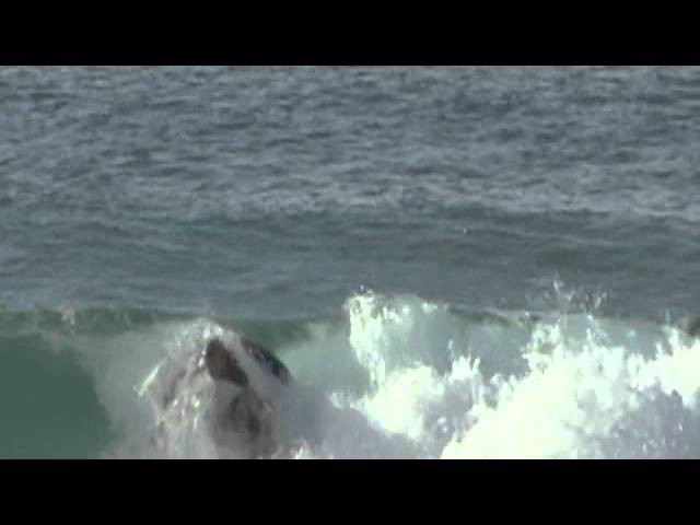 "Warming up at J-Bay." -- Mick Fanning