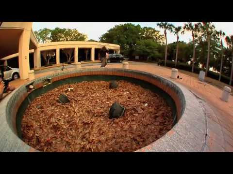 etnies Presents: Tyler Bledsoe