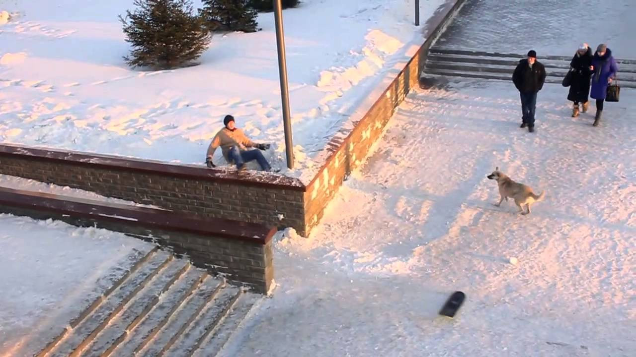 Full video available on http://www.ambitionsnowskates.com<br /><br />Ambition Snowskates proudly presents it's fourth full-length video. Sit back, relax and enjoy the safari!<br /><br />RIDERS<br />Charlo Simard<br />Phil Moreau<br />Taras Ryabokon<br />Rob Provost<br />James Cybulski<br />Evan Ciniello<br />Austin Welter<br />Josh Seguin<br />Chuck Dion<br />David Engerer<br />Zack Alworden<br />Chance Hughey<br />Mathias Fortier<br />Alan Gerlach<br /><br />MUSIC<br />Astro – Panda<br />Dumbo Gets Mad – Electric Prawn<br />Le Chevalier – Monte Carlo<br />Future Islands – Balance<br />Jo RCA – Style Perfection<br />Of Monsters And Men – Dirty Paws<br />Moonface – Teary Eyes And Bloody Lips<br />Dom – Living In America<br />Family – Winter<br />Santigold – Disparate Youth<br />The Budos Band – Ride Or Die<br /><br />----------------------------<br /><br />Want to have a blast this winter? Get your Ambition snowskate online today!<br /><br />WEBSITE http://www.ambitionsnowskates.com<br />FACEBOOK http://www.facebook.com/AmbitionSnowskates<br />SUBSCRIBE http://www.youtube.com/subscription_center?add_user=AmbitionSnowskates <br /><br />We’re redefining snowskating. Our boards are fast & strong made with 7 plys of Canadian maple, with concave and aggressive grip. Every year, we refine our board construction to give you the best possible experience on snow. We know we're onto something... what's possible on a snowskate?