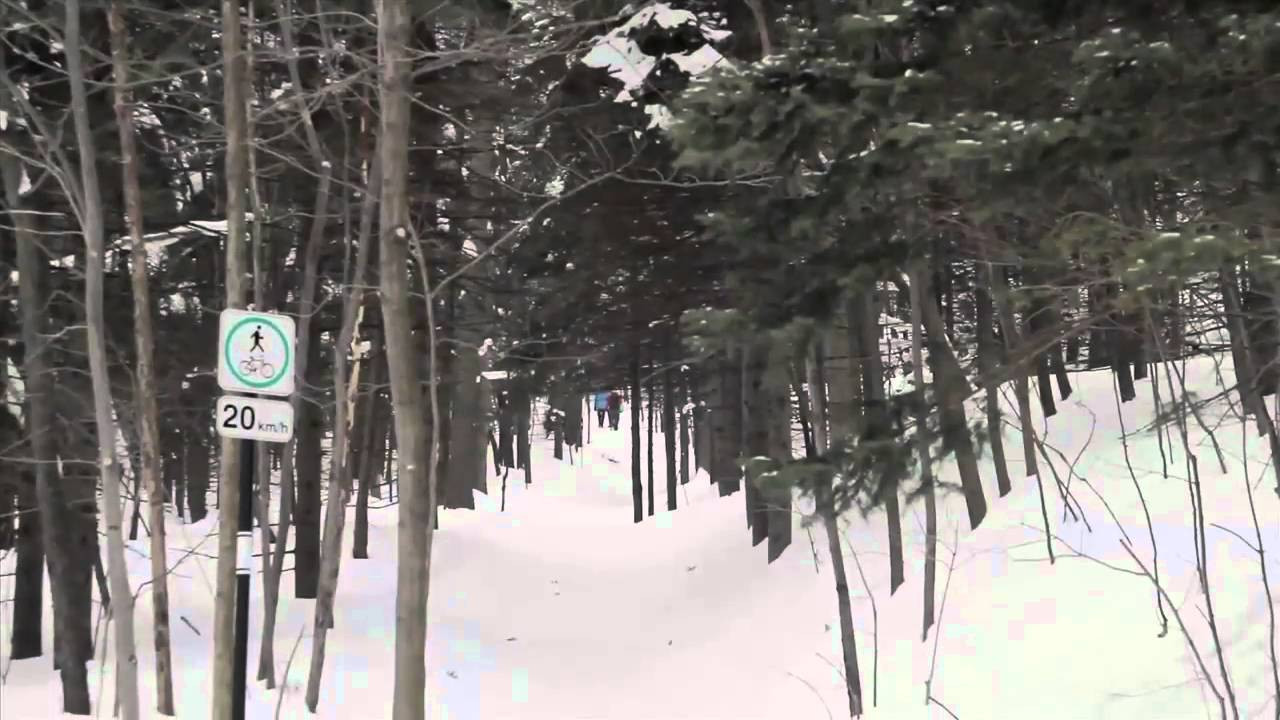 Full video available on http://www.ambitionsnowskates.com<br /><br />Ambition Snowskates' second annual full length film. Until next time, keep an eye on the sky.<br /><br />RIDERS<br />Josh Seguin<br />Alex Crowcroft<br />Rico Desjardins<br />Nick Stefani<br />Bjorn R-G<br />Austin Jessup<br />Roby Provost<br />Mitch Serbu<br />Austin Welter<br />Justin Majeczky<br />Phil Moreau<br />Charlo Simard<br />Phil Smage<br />Emil Baron<br />Alan Gerlach<br />David Engerer<br /><br />MUSIC<br />Hi Bird – Studio B Beat Group<br />Asenio - Lerrix<br />Chicago Falcon – The Budos Band<br />Nao Tem Nada Nao – Marcos Valle<br />Boogie Z – Syd Barrett<br />The Bamboos Theme – The Bamboos<br />Coolie High – Camp Lo<br />Arafat – Tauchen Prokopetz<br />Teach Me Tonight – Laurino Almeida<br />Shine It – Medeski Martin Wood<br />It’s A Shame – Kool G Rap<br />Queen Street Gang – Arzachel<br />What’s Happening At The Psychiatrist – Big Bird And Steamshovel<br />Caress – Bjorn Jonestown Massacre<br />Gangstarism – Foesum<br />Awal – RBX<br />Midnight Hour – Flat Earth Society<br />Electronic Fences – Computer Magic<br />Odessa – Caribou<br />Listen To The Beat - Cosmic Sound Orchestra<br />Jabberwock – Boeing Duveen And Beautiful Soup<br />Come Ray And Come Charles – Michel Legrand<br /><br />----------------------------<br /><br />Want to have a blast this winter? Get your Ambition snowskate online today!<br /><br />WEBSITE http://www.ambitionsnowskates.com<br />FACEBOOK http://www.facebook.com/AmbitionSnowskates<br />SUBSCRIBE http://www.youtube.com/subscription_center?add_user=AmbitionSnowskates <br /><br />We’re redefining snowskating. Our boards are fast & strong made with 7 plys of Canadian maple, with concave and aggressive grip. Every year, we refine our board construction to give you the best possible experience on snow. We know we're onto something... what's possible on a snowskate?