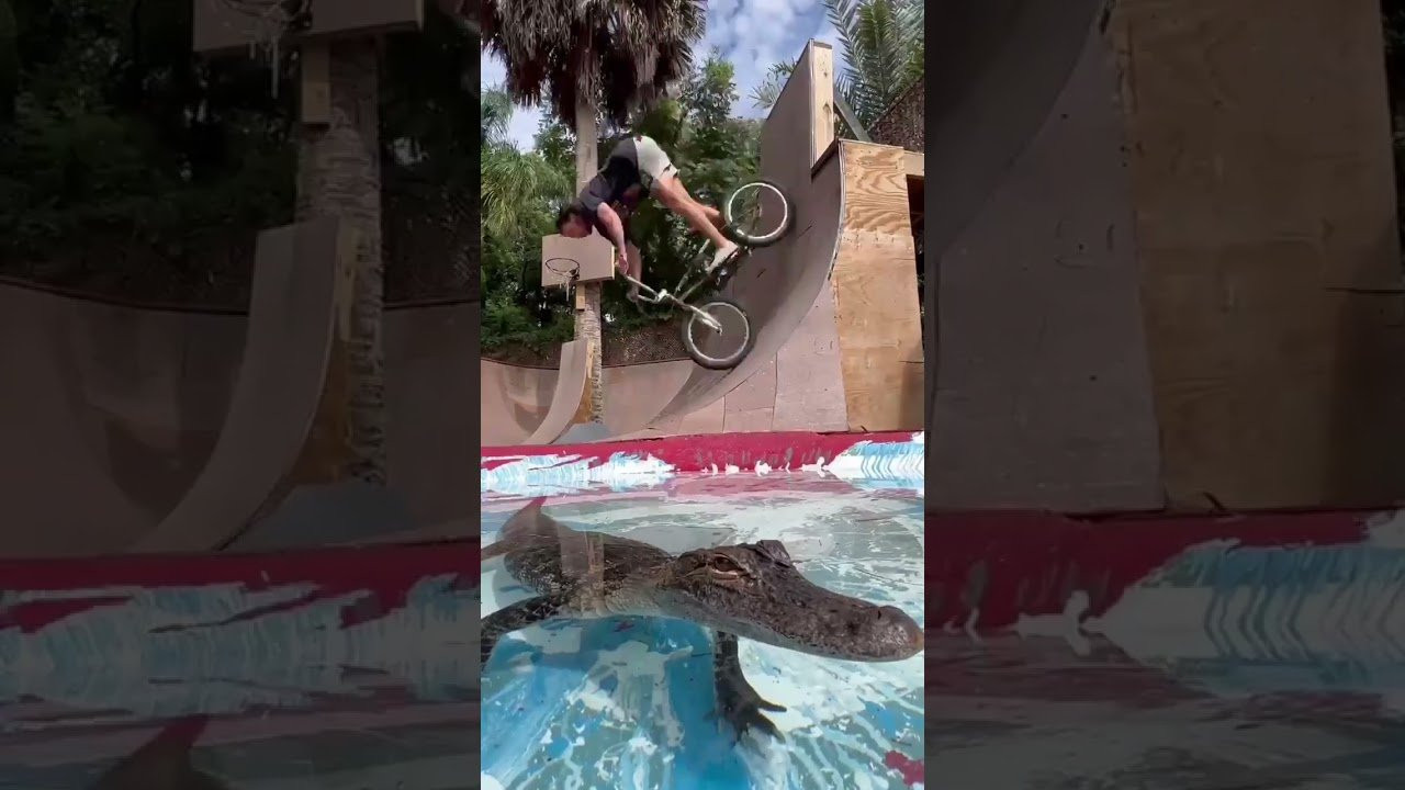 ONLY IN FLORIDA... TREY JONES RIDES HIS BACKYARD RAMP WITH A FRIENDLY ALLIGATOR #CULTCREW #bmxstreet