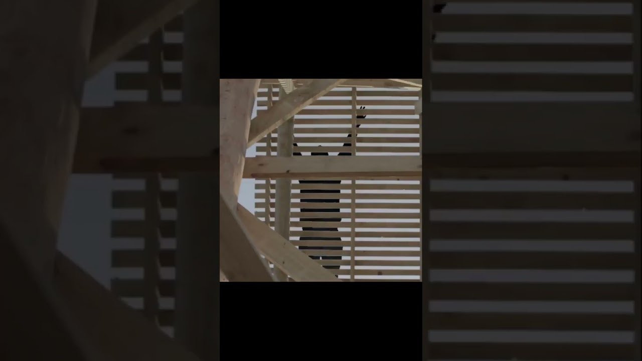 The lore of Corey Walsh. #bmx #cultcrew #bmxfreestyle #bmxpark