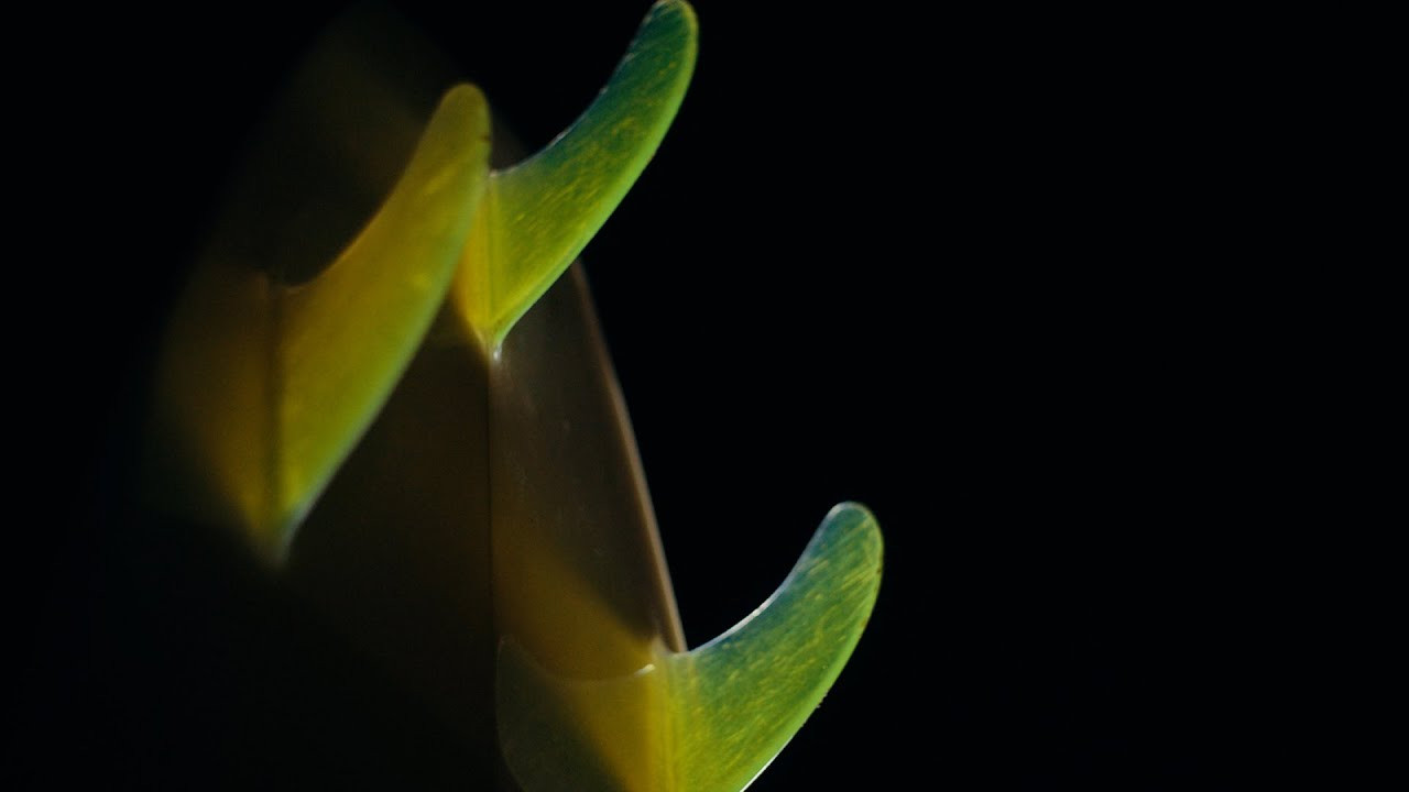 The design that changed it all with a single wave when the world was watching.<br /><br />About the series:<br /> <br />Billabong is proud to partner with Mark Cunningham, Hunt House Pictures and the WSL to bring you Pioneers of Pipeline, a celebration of the surfers through the decades who’ve left the biggest impression at the world’s heaviest wave. As seen through the eyes of North Shore lifeguard, artist and bodysurfing GOAT Mark Cunningham, this series takes you from the first giant leap by Phil Edwards in the 60s to the current kingpin John John Florence today.<br /> <br />As a complement to this series, we’ve also created a four-chapter tribute to the women surfers who helped pave the way to this historic first women’s WCT at Pipeline. Narrated by Coco Ho, it pays homage to everyone from Joyce Hoffman to Moana Wong’s masterful performances today – available to view on Billabong Women’s YouTube Channel: https://www.youtube.com/c/BillabongWomens<br /><br />Subscribe to Billabong for more videos: https://www.youtube.com/user/billabong<br /><br />Visit www.billabong.com for the latest athlete news or follow us on social for up to the minute updates:<br /><br />Instagram | https://www.instagram.com/billabong/<br />Facebook | https://www.facebook.com/Billabong/<br />Twitter | https://twitter.com/billabong1973<br />TikTok | https://www.tiktok.com/@billabong