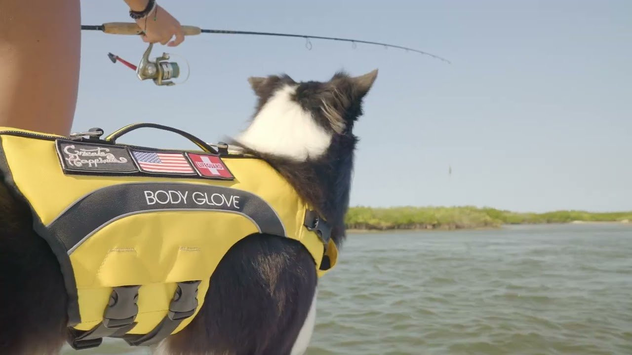 Discover the new Body Glove World-Class Dog PFD—Prepare your canine for the water with a dog life jacket from the watersport legends at Body Glove. Furry friends can splash safely in this super-buoyant, ergonomic, and insulated vest. Learn more - https://www.bodyglove.com/collections/life-jackets-vests-for-the-whole-family