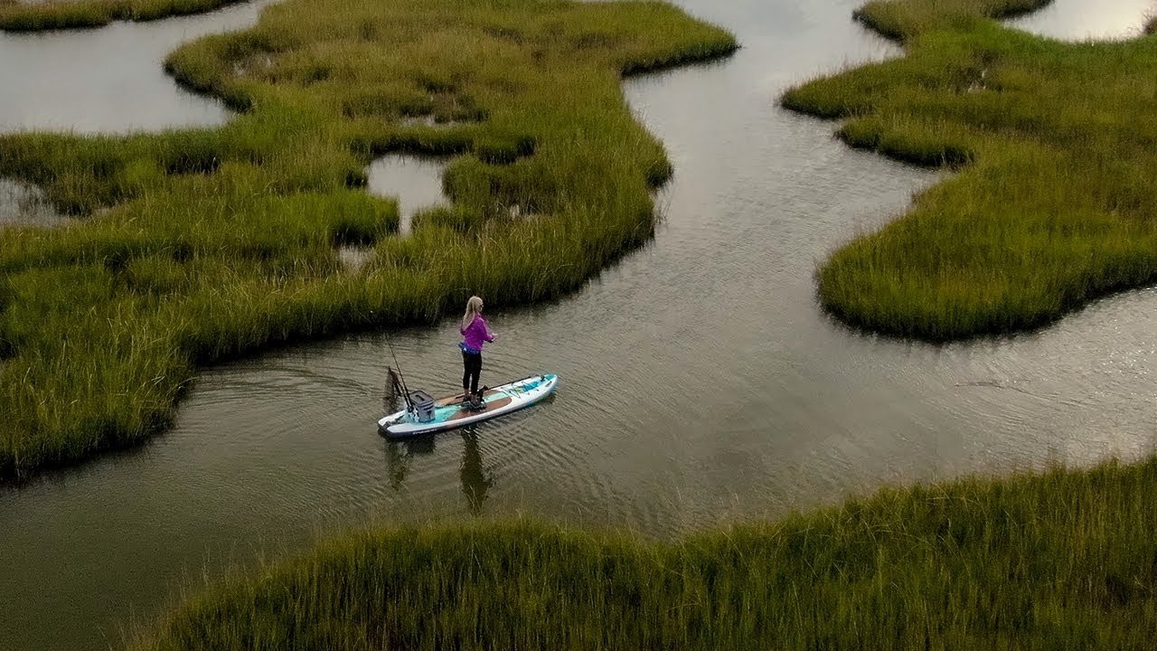 Enjoy the videos and music you love, upload original content, and share it all with friends, family, and the world on YouTube.