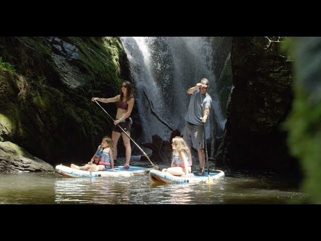 Body Glove is building on the best with the new upgraded Performer 11 iSUP (Inflatable Stand up Paddle Board). This board is adventure-ready and crafted to meet the needs of paddlers of all levels. The multipurpose design is ideal for families, adventure seekers, fishing enthusiasts and on-water yogis. The convenient package simply rolls up into a backpack for storage.<br /><br />The Performer 11 is designed for incredible stability and durability. The upgraded 2020 package continues to deliver superior performance with new features to offer, including an even more stable platform and improved tracking for an easier paddling experience:<br />• 30% more surface area on the fixed fins for improved tracking and straighter paddling<br />• New triple layered side rails and upgraded carbon-reinforced stringers for added stability<br />• New 13.7 cm / 5.4” in drop-stitch for a lighter board without sacrificing stability.<br /><br /><br />Shop Body Glove SUPs: http://bit.ly/2C6X9z3<br /> <br />#CreateHappiness #BodyGlove<br /> <br />Love Body Glove? Find more of us here:<br />Facebook: https://www.facebook.com/bodyglove/<br />Instagram: https://www.instagram.com/bodyglove/<br /> https://www.instagram.com/bodyglovegirl/<br />Website: https://www.bodyglove.com/