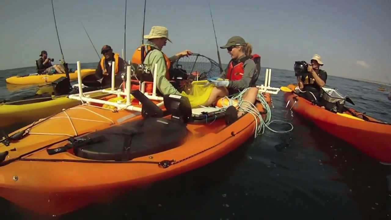 Enjoy the videos and music you love, upload original content, and share it all with friends, family, and the world on YouTube.