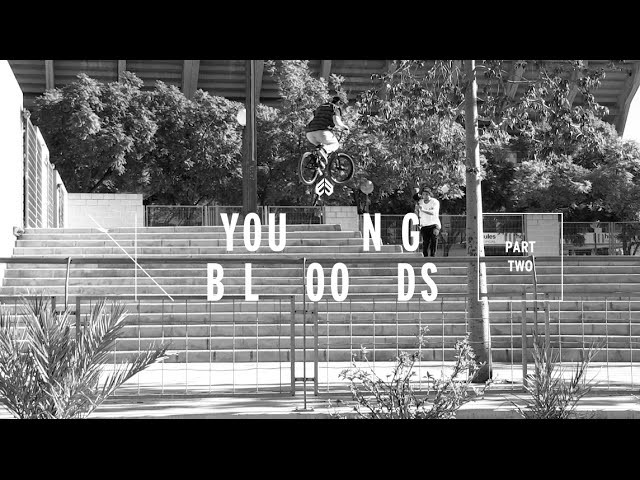 Part two is here and its a belter.<br /><br />Hit the microsite for more images and videos - http://www.eclatbmx.com/youngbloods