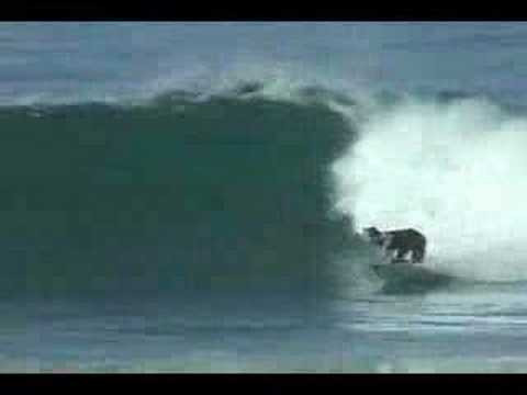 Taj Burrow surfing a Firewire surfboard in California 01