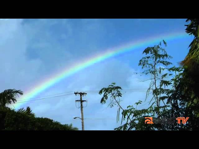 Like most northward coasts in Polynesia the daily weather is dialled through a Wheel Of Fortune of clacking spokes, rain, sun, rain, sun, rain. Expect dirtwater potholes on secret laneways, soles of tractor tread, sinking sand, skewering lava, palms, plumeria, saline spray, red clay and molten copper sunsets, mud and muscle. And it all comes back to heavy waves and trying to ride them. Bounce your eyeballs around the North Shore ...