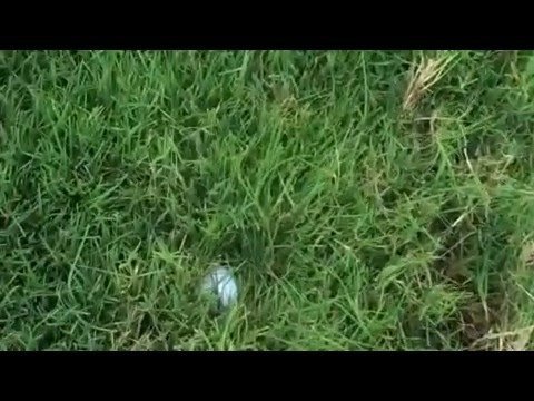 Golfing in Hawaii is the best. We pass the time on the flat days by hitting the silly white ball around, if you lose the pink ball it's your buy at the bar after the round ... This is a quick look at some of the more entertaining shots with my mates Luke Munro, Jarrad Howse and Alain. Sometimes all you can do is laugh ...<br />- Tom Whits