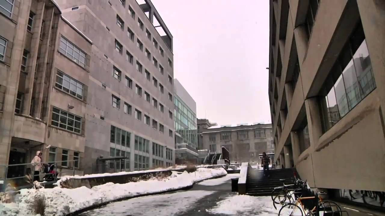 Extra snowkate footage from Toronto and Montreal trips. Filming for our 2011 DVD Skrill Clinton. <br /><br />----------------------------<br /><br />Want to have a blast this winter? Get your Ambition snowskate online today!<br /><br />WEBSITE http://www.ambitionsnowskates.com<br />FACEBOOK http://www.facebook.com/AmbitionSnowskates<br />SUBSCRIBE http://www.youtube.com/subscription_center?add_user=AmbitionSnowskates<br /><br />We’re redefining snowskating. Our boards are fast & strong made with 7 plys of Canadian maple, with concave and aggressive grip. Every year, we refine our board construction to give you the best possible experience on snow. We know we're onto something... what's possible on a snowskate?