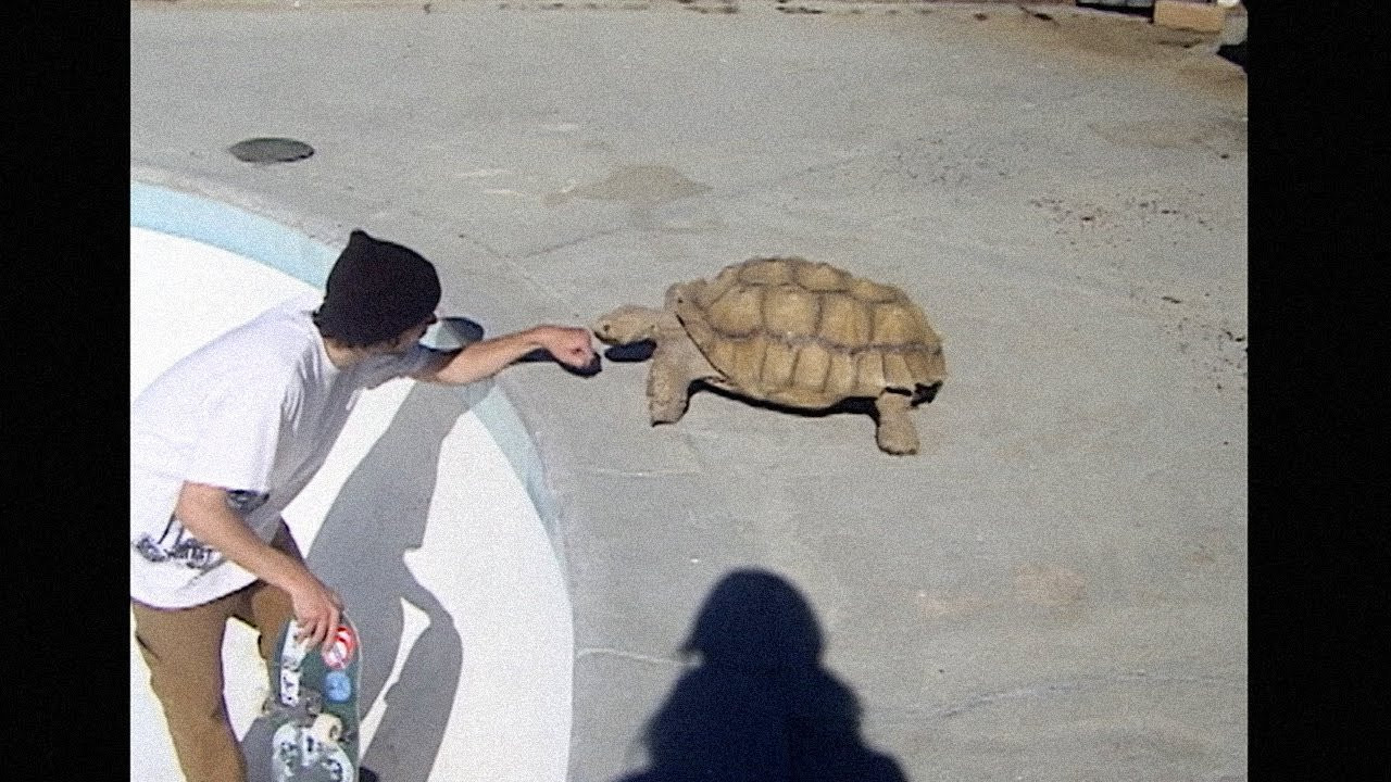 filmed by: <br />carly cunningham<br /><br />edited by:<br />garrett kilbarger and<br />carly cunningham<br /><br />music:<br />song 1 - big jilm by ween<br />song 2 - tired of sex cover by weekend nachos<br />song 3 - meat mayonaise by ew<br />song 4 - downtown & cigarettes by bbyafricka <br /><br />skaters:<br />garrett kilbarger<br />eric hutchinson<br />marcel martinez<br />ryan cardone<br />gavin rosenberg<br />phoenix<br />brian roudnev<br />jimmy wilkins<br />tom remillard<br />chuck pontone<br />kevin burke<br />cooper swink<br />shaun ross<br />cory segura<br />danny weiss<br />jesse mceneaney<br />jeff rasp<br />archer braun<br />caroline duerr<br />chris anderson<br />pedro delfino<br />sean plundeke