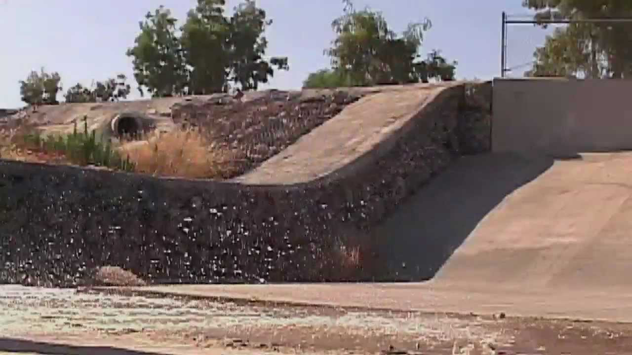 Darkstar skateboards is proud to officially introduce CAMEO WILSON to the team !