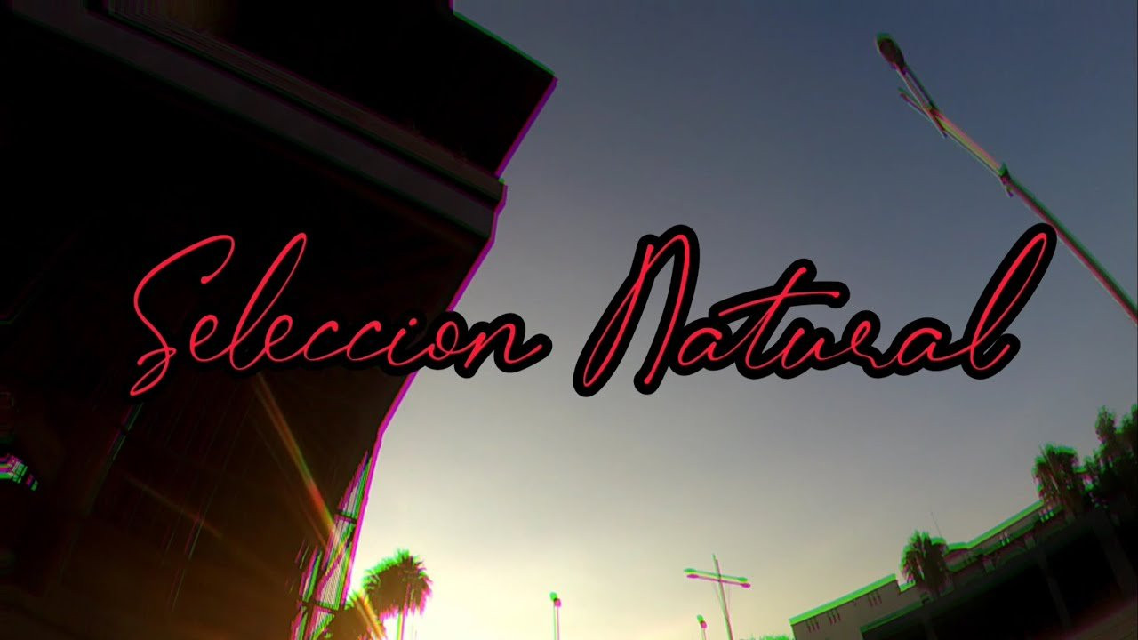 Selección Natural es un video Creado en Aguascalientes México.<br />Editado por Elías Fernández.<br />Musica Producida por Elías Fernández.<br />Con videopartes de Mario Durón, Alster Ponce, Omar hernandez Y Elías fernandez.<br />Cuenta con mas de 7 años de Grabacion en diferentes partes de la República.<br />Grabado por Joel cortes A.k.a (Renol), Fernando Carmona, Rodolfo Molina, Omar cervantes, Rafael Carmona, Elias fernandez, Diego Zamora, Diego Horacio, Mauricio Marentes, Talegas, Fernando Davila.