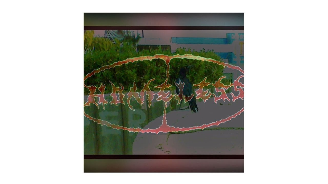 El Homeless video es una producción filmada con VHS por Leo Rodríguez desde Durango y es dedicado a Arturo Burciga (Bolby), Karla Cano, Alejandro Rodriguez, Jose León, Guadalupe Alejandra.