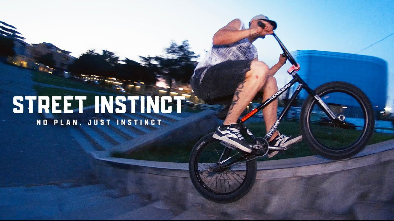 NEW DIG APPAREL https://shop.digbmx.com/collections/APPAREL-AND-MORE<br />-----<br /><br />The Gorilla squad goes in on the streets of Kazakhstan in this 11 minuter, featuring Nazar Nazarov, Alikhan Mozhanov & Dmitriy Bukhnin. Love to see BMX worldwide!<br /><br />Filmed and edited by Oleg Kuznetsov<br /><br />-----<br />Visit our website for more BMX videos - http://digbmx.com <br /><br />SUPPORT PROJECT X https://shop.digbmx.com/collections/project-x <br />SUBSCRIBE to the DIG channel for more videos - http://bit.ly/DigBMX<br /><br /> ● Facebook - https://facebook.com/digbmx <br /> ● Instagram - https://instagram.com/digbmx <br /> ● Twitter - https://twitter.com/digbmx <br /><br />#BMX #DIGBMX
