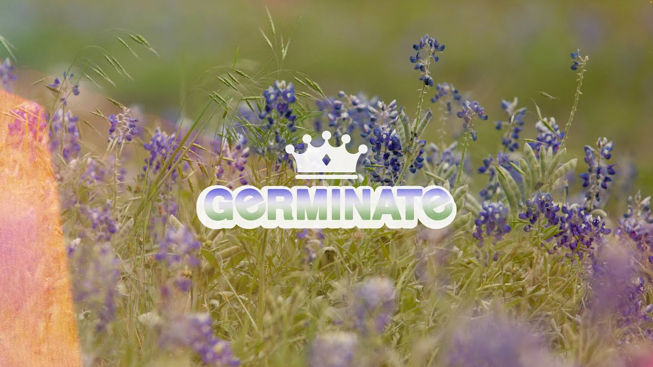 ready to celebrate your independence from the corporate news cycle's false narrative driven left-right paradigms, uninteresting content-pushing Tik Tok influencers, and low energy advertiser-beholden podcasts? then tag along with the newest members of the Empire Pro team as they free you from New Media tyranny and drop seeds of dopeness across the land!<br /><br />featuring:<br />Casey Starling<br />Julian Arteaga<br />Matt Nordstrom<br />Jared Duncan<br />Jayden Mucha<br /><br />filmed and edited by Devon Hutchins<br />additional filming by Dan Coller, Darryl Tocco, and Ryan Fudger