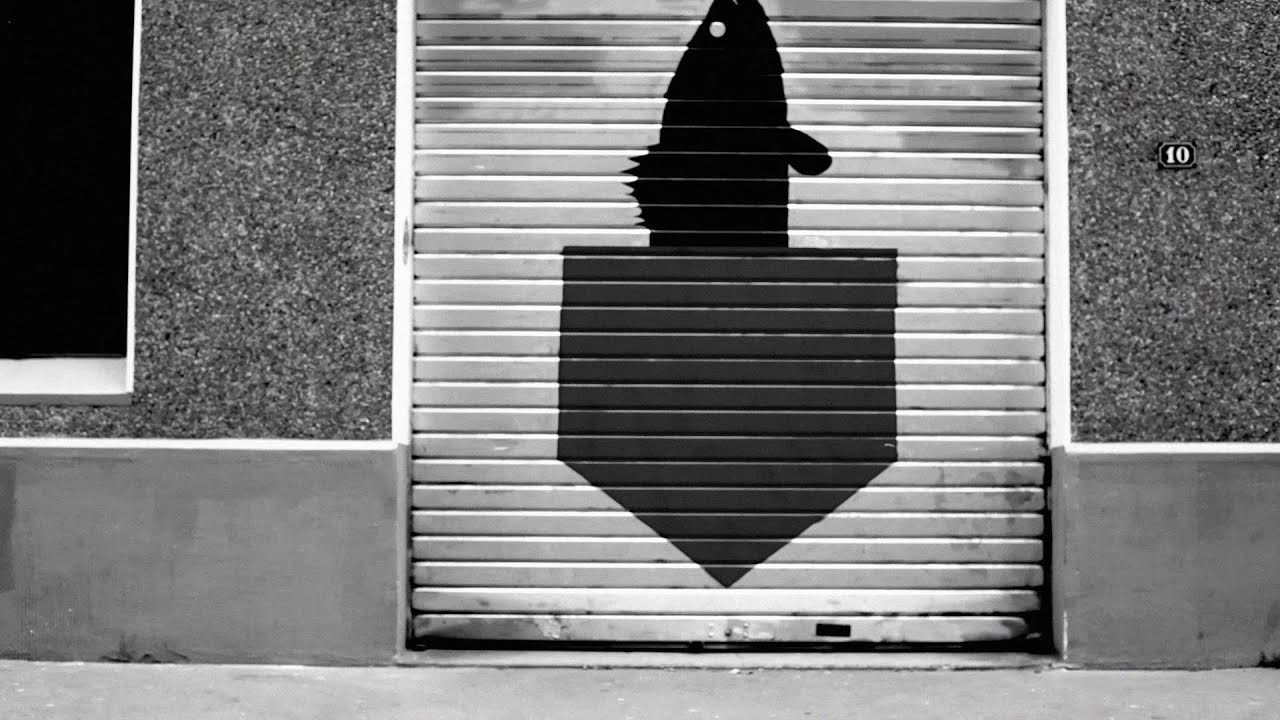 We, Film Trucks & Big Fish 1983, all Love Skateboarding and Fishing . Naturally, we made this Collab' with some Special Colorway Trucks, Limited Edition Board, Trout Spoon, T-Shirts and More .<br />And , of course, Fishing is not a Crime .