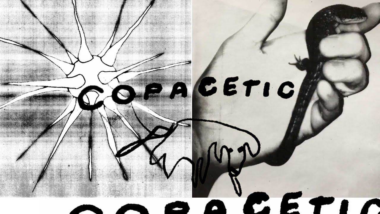 A film edited and featuring Dane Reynolds and his family.