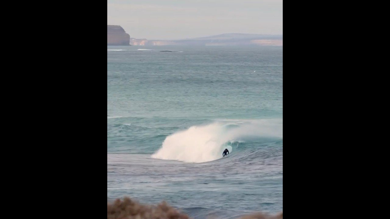 For the past four months, South Australia’s mid-coast has been quietly suffocating. A 4,500-square-kilometre algal bloom, one of the largest on record, has blanketed the Fleurieu Peninsula, turning once-pristine surf zones into apocalyptic shorelines lined with brown sludge and thick, yellow foam.<br /><br />It’s decimated marine life and sidelined the region’s surf community, many of whom are still waiting for someone in power to acknowledge what’s happening.<br /><br />So far, an estimated 13,800 animals, from Great Whites to seahorses, have died trying to escape the toxic water.