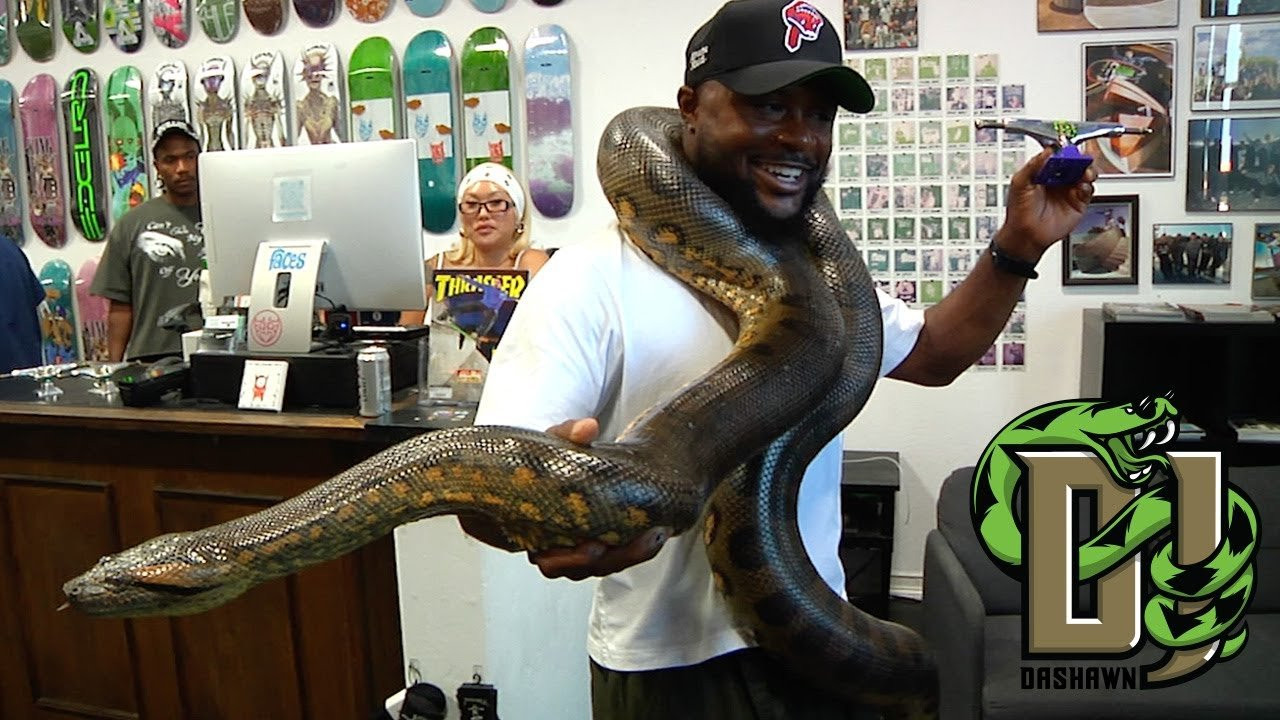 Thank you to the whole Tempe, AZ scene for making Dawshawn Jordan's truck release with Faces Skateshop such a fun one! 🐍⚡️<br /><br />Filmed and edited by Cage Cocalis https://www.instagram.com/cage_cocalis/