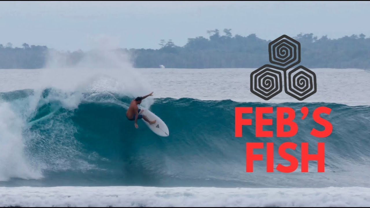 Watch some of the CI Team ride Mikey February's favorite twin fin: the Feb's Fish. Surfers include Cam Richards, Shun Murakami, Kyuss King and Kian Martin. <br /><br />Shot and edited by Ryan Williams aka @ryzphoto<br /><br />Thanks to HT's Resort.<br /> <br />Find the Feb’s Fish at your local surf shop or cisurfboards.com. <br /><br />See more on Feb's Fish here: https://cisurfboards.com/products/febs-fish<br /><br />#FishSurfboard #FebsFish #MikeyFebruary