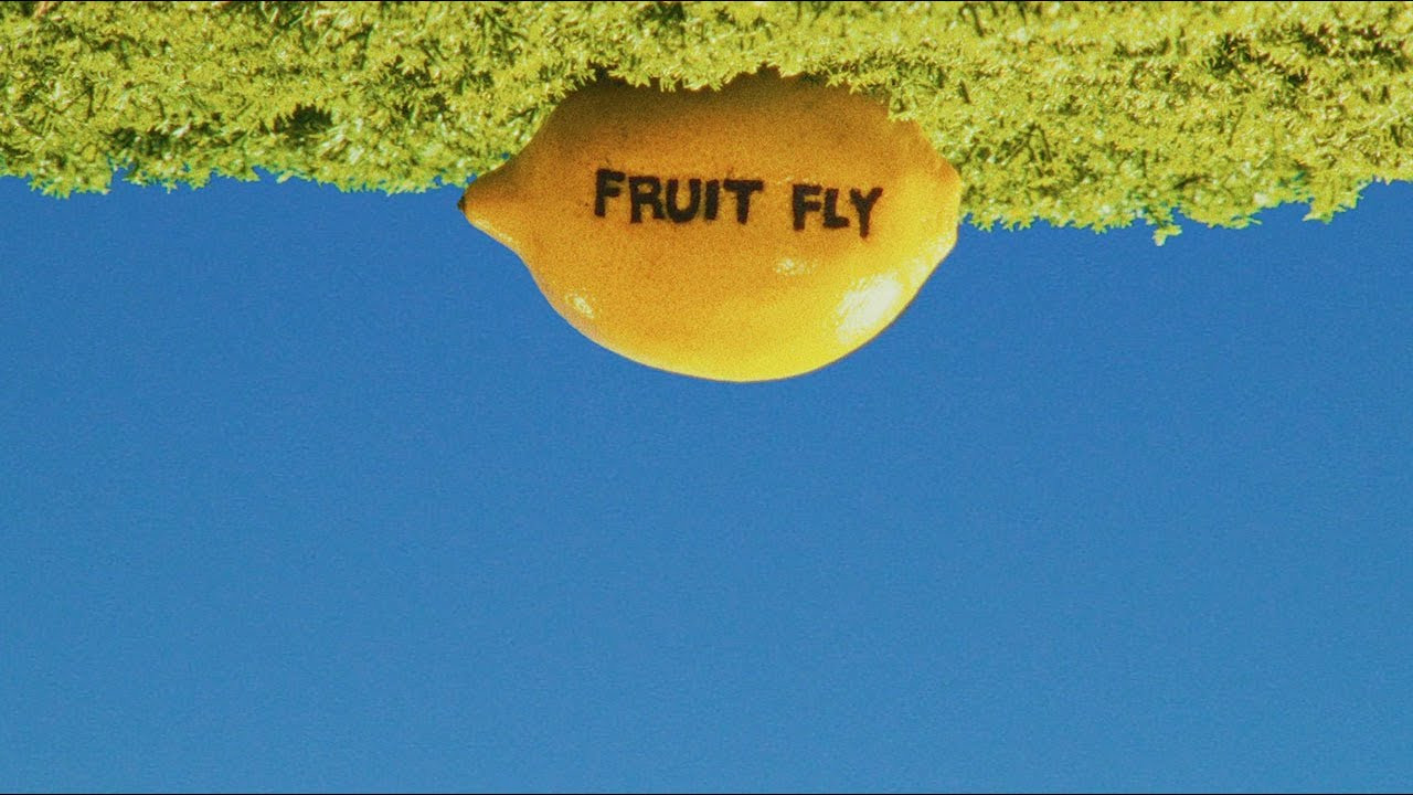 filmed in ohio, new york, and pennsylvania between january 4 - 28<br /><br />featuring:<br />jed anderson<br />kennedi deck<br />jake kuzyk<br />cole navin<br />casey pflipsen<br />devi gupta<br /> <br />filmed by:<br />tanner pendleton <br />cole navin<br />jake kuzyk<br />marc o’malley<br />mikaela kautzky<br />jon stark<br /> <br />photography:<br />marc o’malley<br /> <br />title design:<br />power tools<br /> <br />edit:<br />tanner pendleton<br /> <br />made possible by:<br />k2 snowboarding<br /> <br />with support from:<br />ride, skullcandy, & vans<br /> <br />todd ruck productions©2025