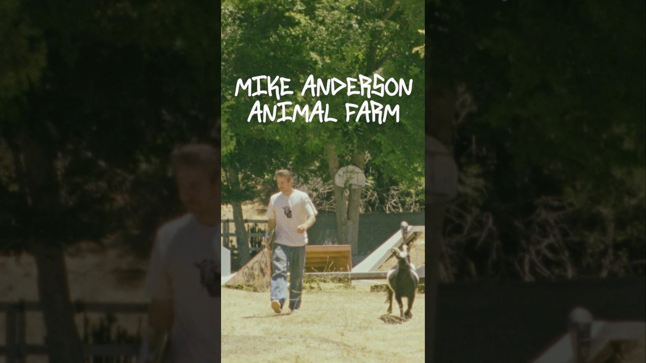 #shortsvideo #skateboarding #youtube