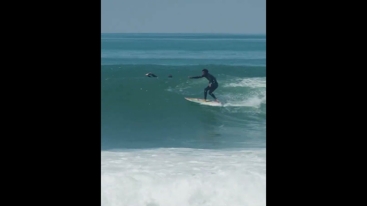 Be the first to experience Mikey February’s psychedelic surfboard test at The Palm Springs Surf Club on Sunday, September 28th, during E.A.S.T. Fest hosted by Kona Big Wave — A celebration of experimental surfboard design, art, music, and culture.<br /><br />Buy tickets at the link in our bio.