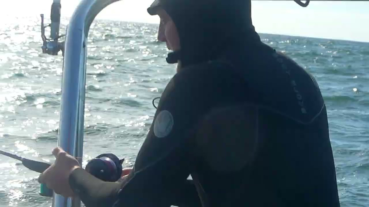 Gold Cell Wetsuits: https://www.bodyglove.com/pages/wetsuits<br />Conquering the cold since 1953. All-new Gold Cell wetsuits and more are now available from Body Glove, the Original Wetsuit Company.