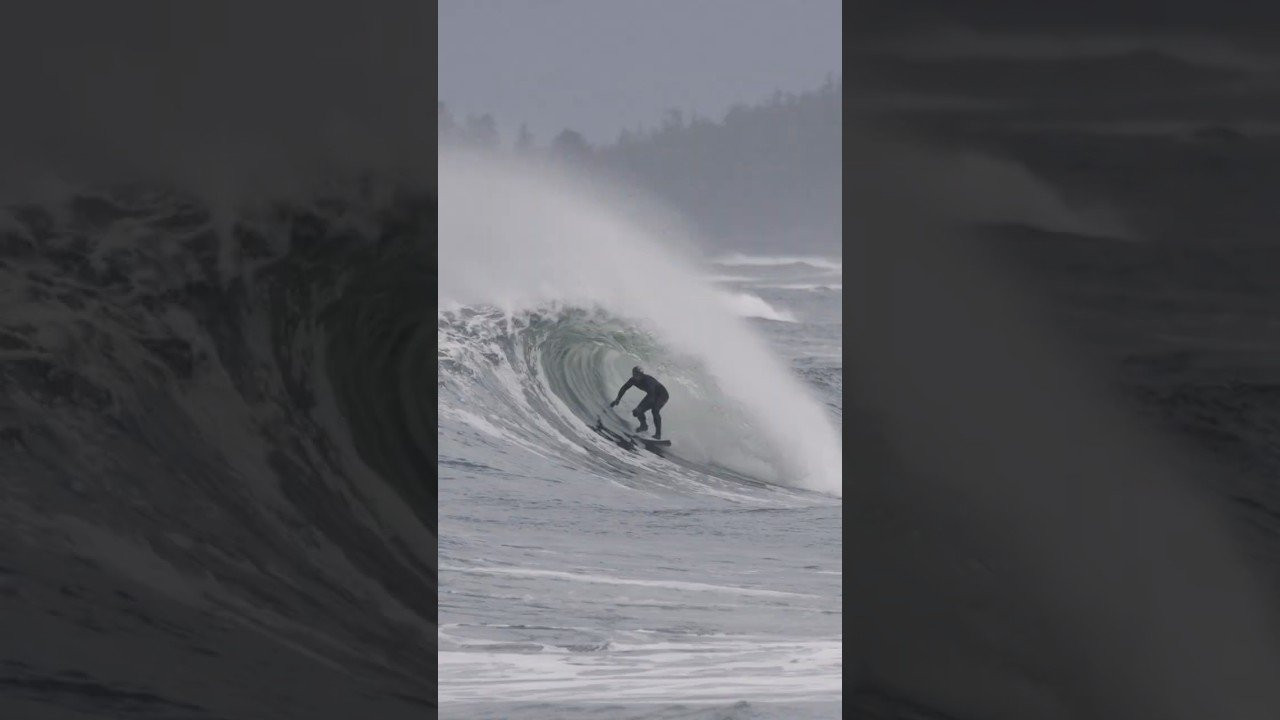 Fits like a glove 👉 Gold Cell Wetsuits @bodyglove